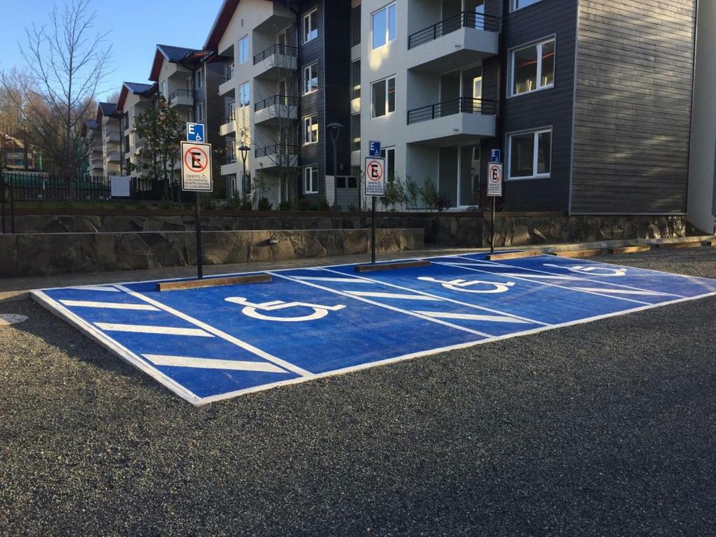 Condominio Robles Camino Al Volcan Pucón Dış mekan fotoğraf