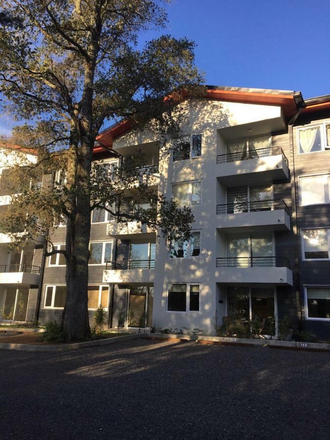 Condominio Robles Camino Al Volcan Pucón Dış mekan fotoğraf